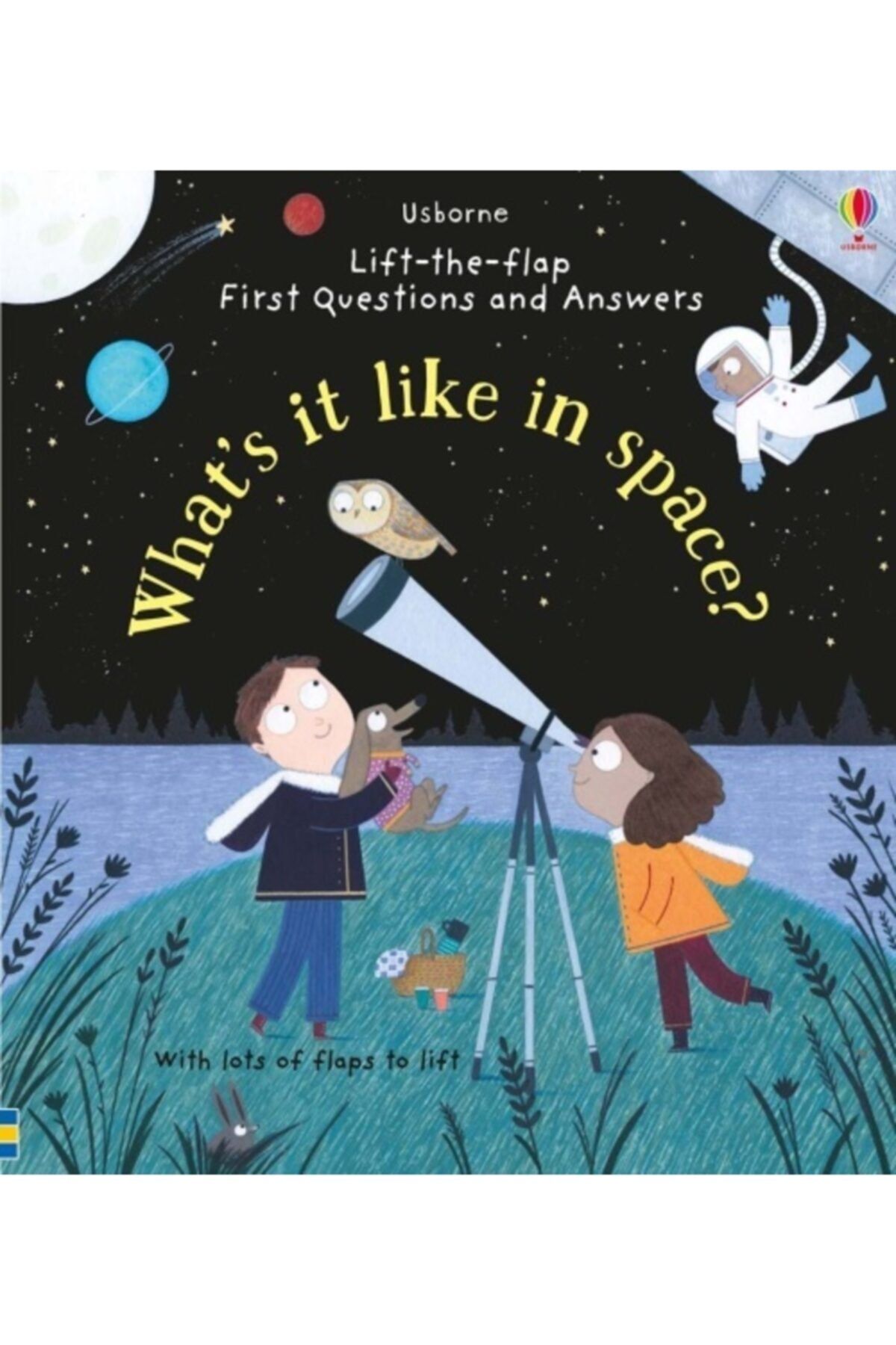 Usborne What's It Like In Space  Lift-the-flap First Questions And Answers
