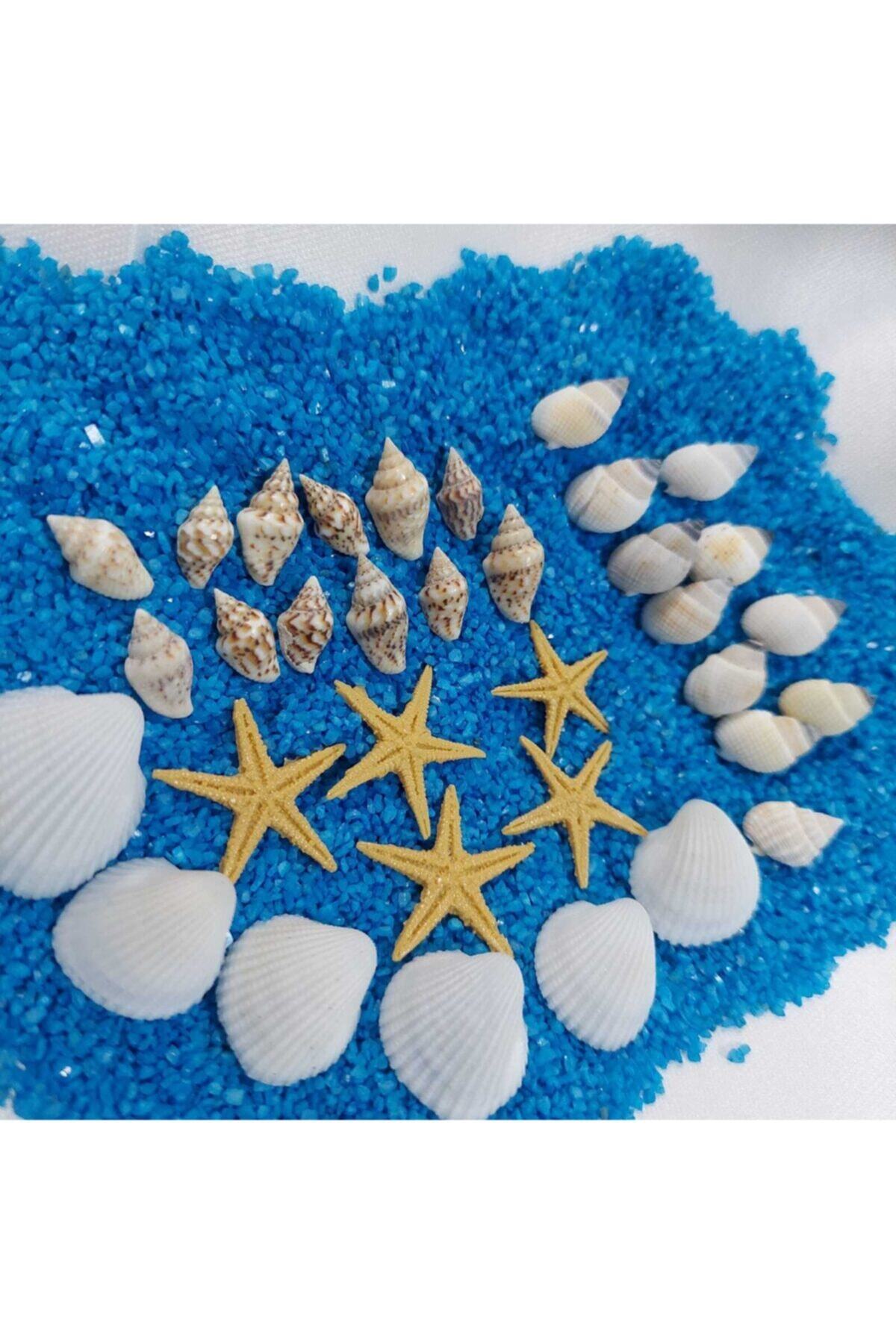 Aker Hediyelik Deniz Kabukları Silis Kabuk 07mm-2,5cm Ucuz Deniz Kabuğu 100gr + 100gr Teraryum Mavi Kum+yıldız