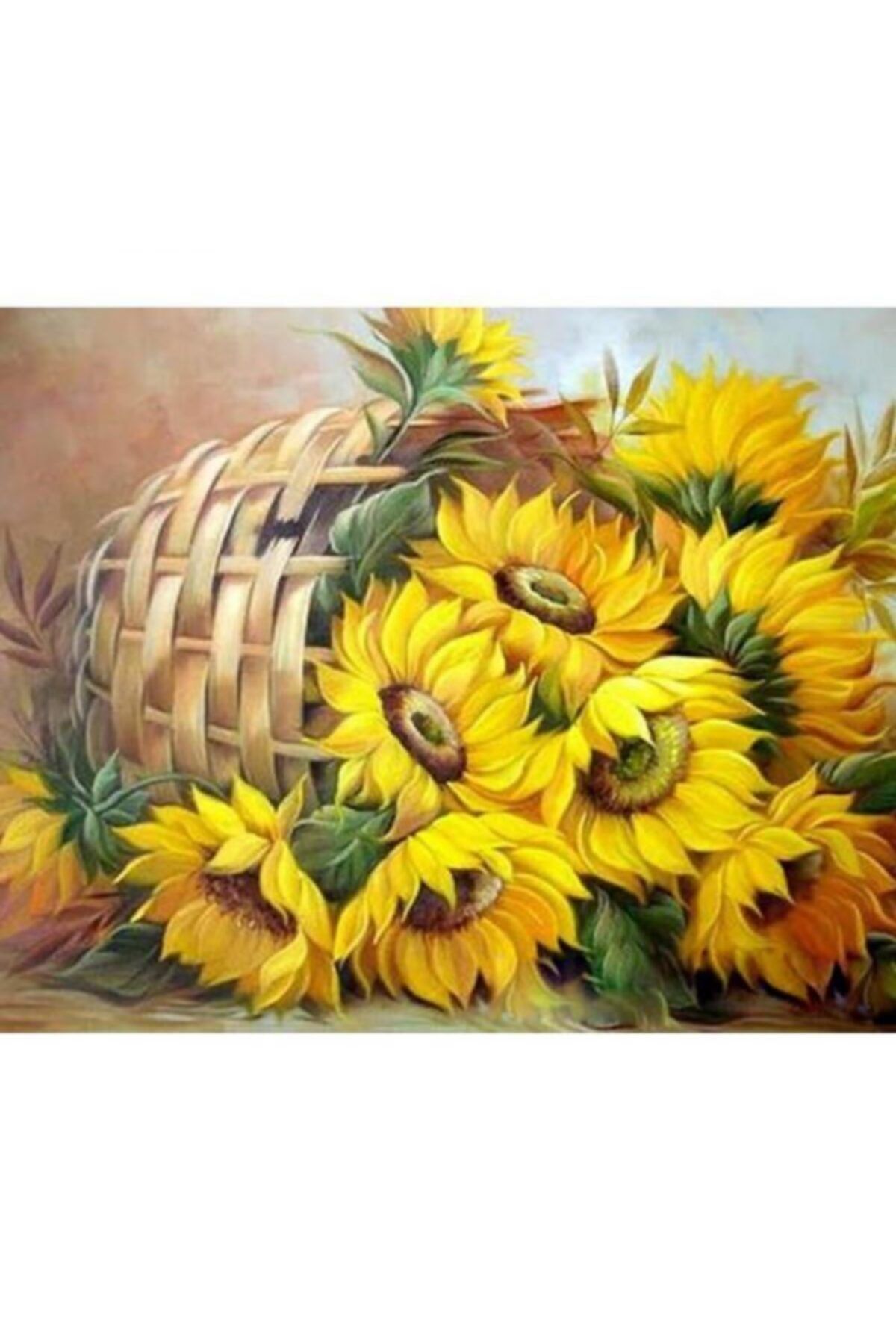 RAMAZANNAKİSVEHOBİ Sayılarla Boyama Çerçeveli 40x50 Cm Numaralı Akrilik Boya Seti Sapatte Çiçek