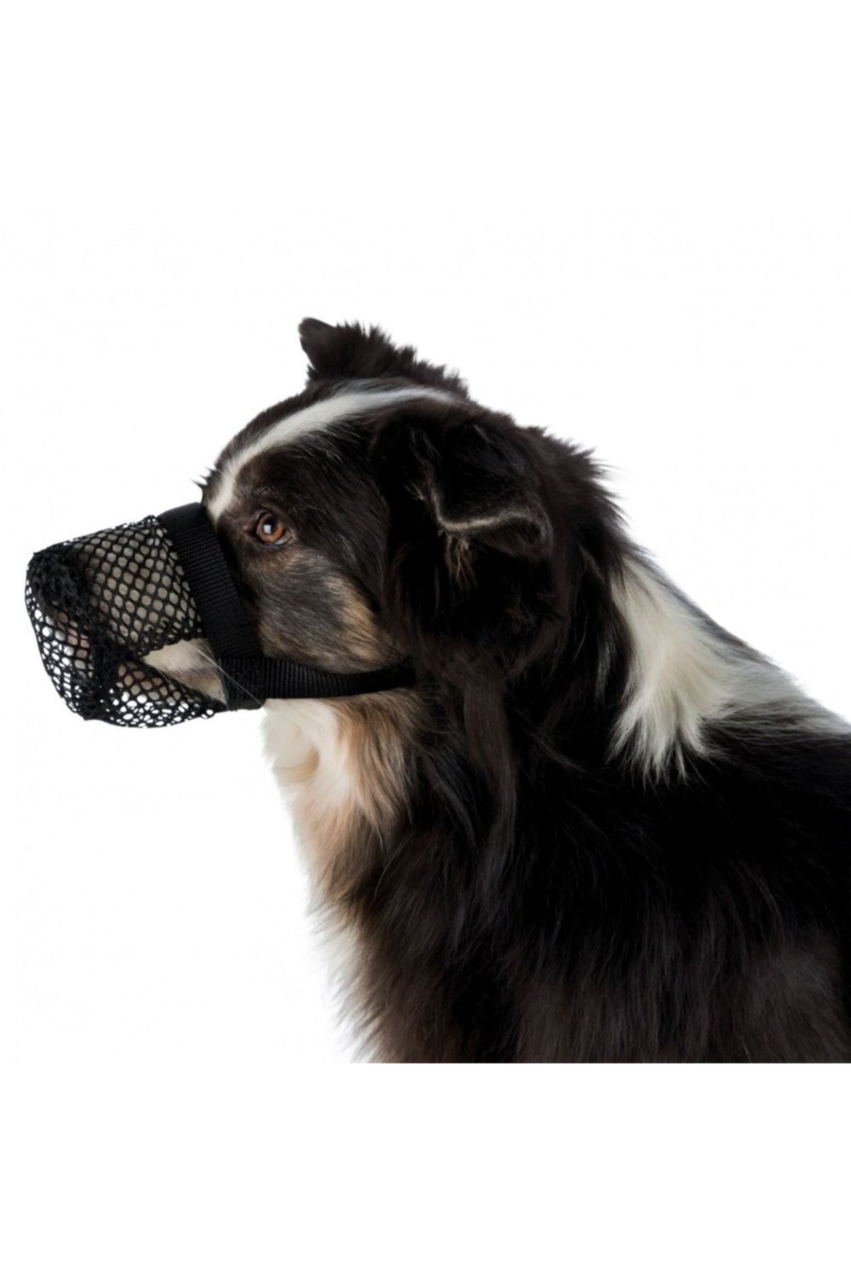 Dog muzzle store pet supermarket