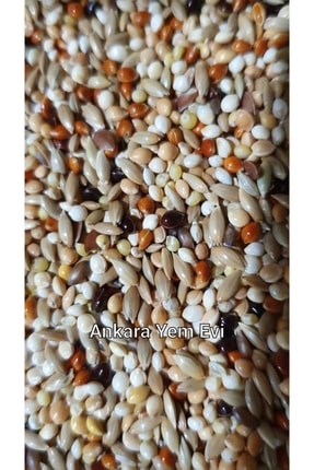 Muhabbet Kuşu Yemi 2 Kg %40 Aspurlu Image 0