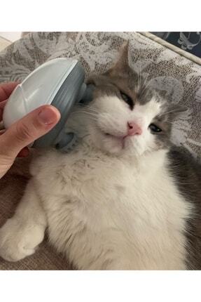 Kedi Masaj Aleti Şarj Edilebilir Su Geçirmez Image 0