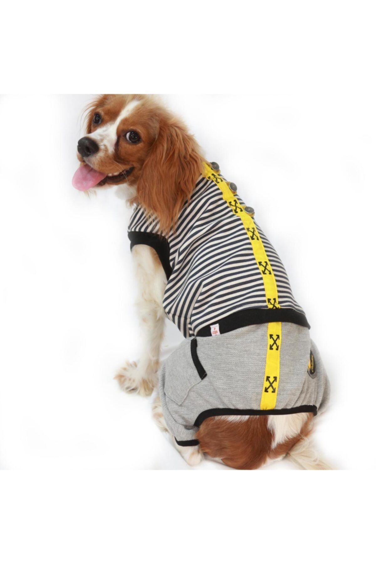 Pawstar Arrow Romper Köpek Tulumu Kıyafeti X Large
