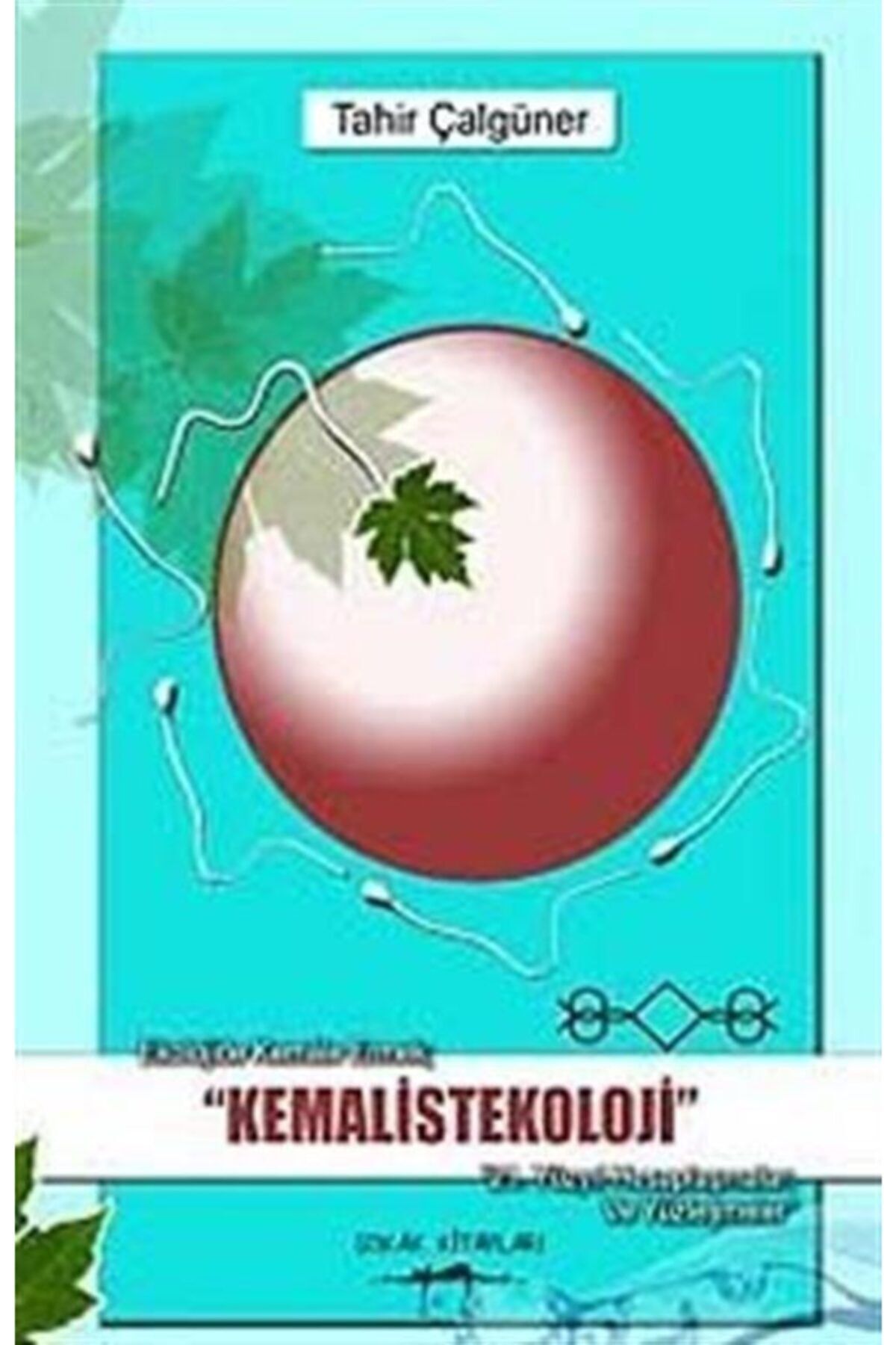 SOKAK KİTAPLARI Kemalistekoloji