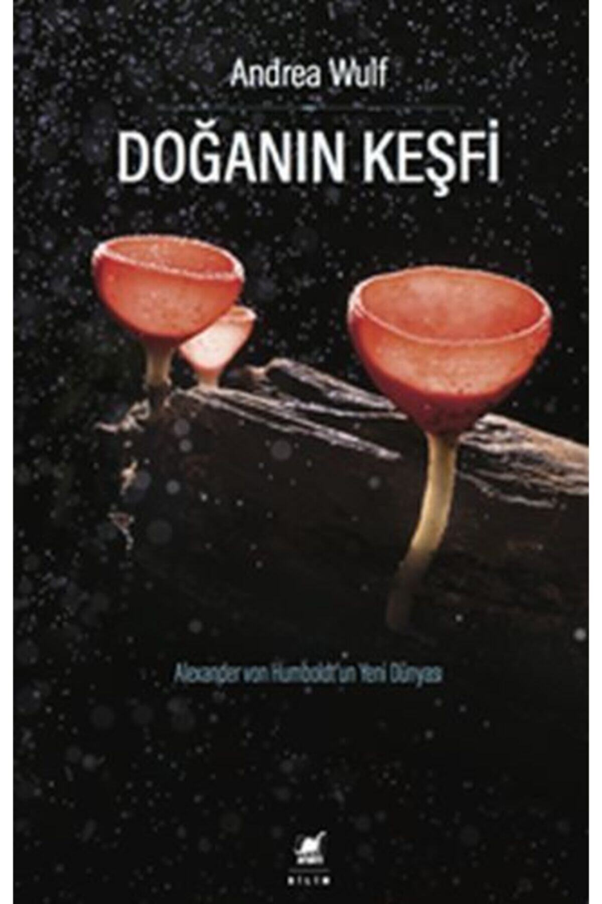 Ayrıntı Yayınları Doğanın Keşfi