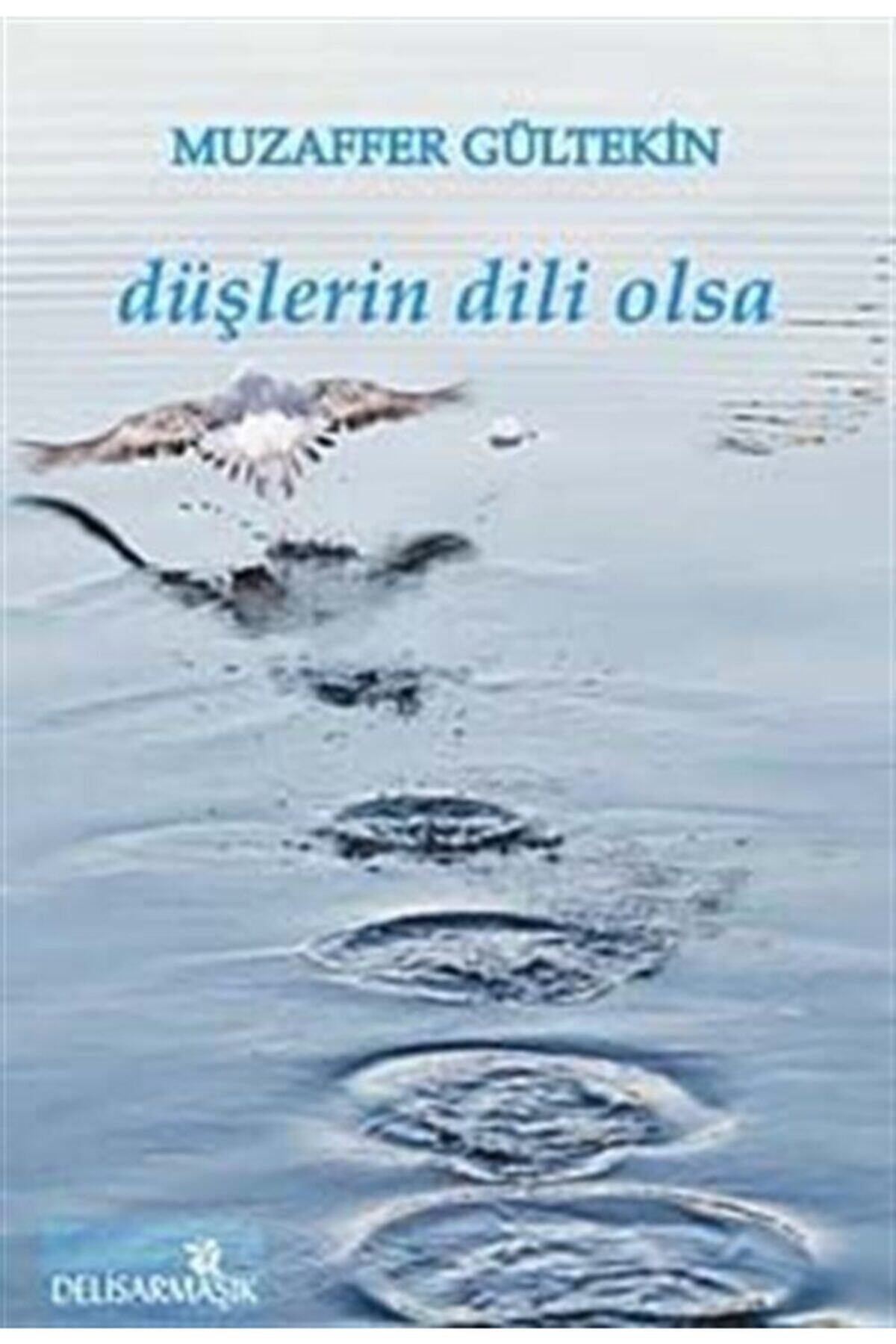 Delisarmaşık Yayınları Düşlerin Dili Olsa