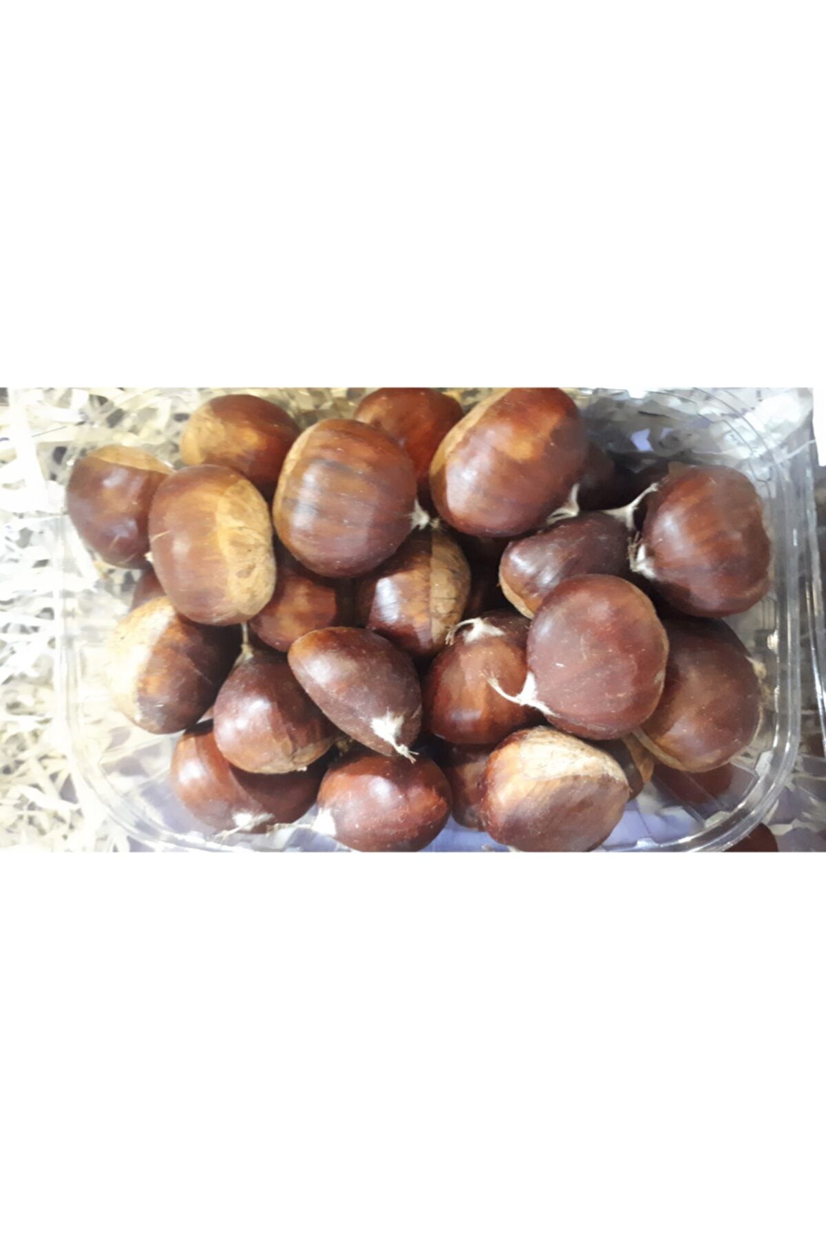 Taze ve Organik Kestane 1 Kg
