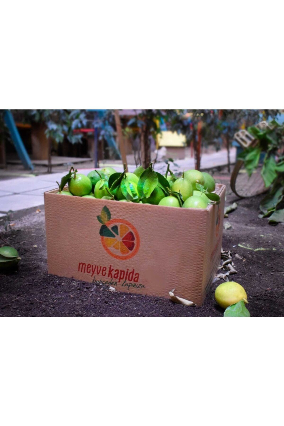 meyvekapida Enterdonat Limon 6 Kg