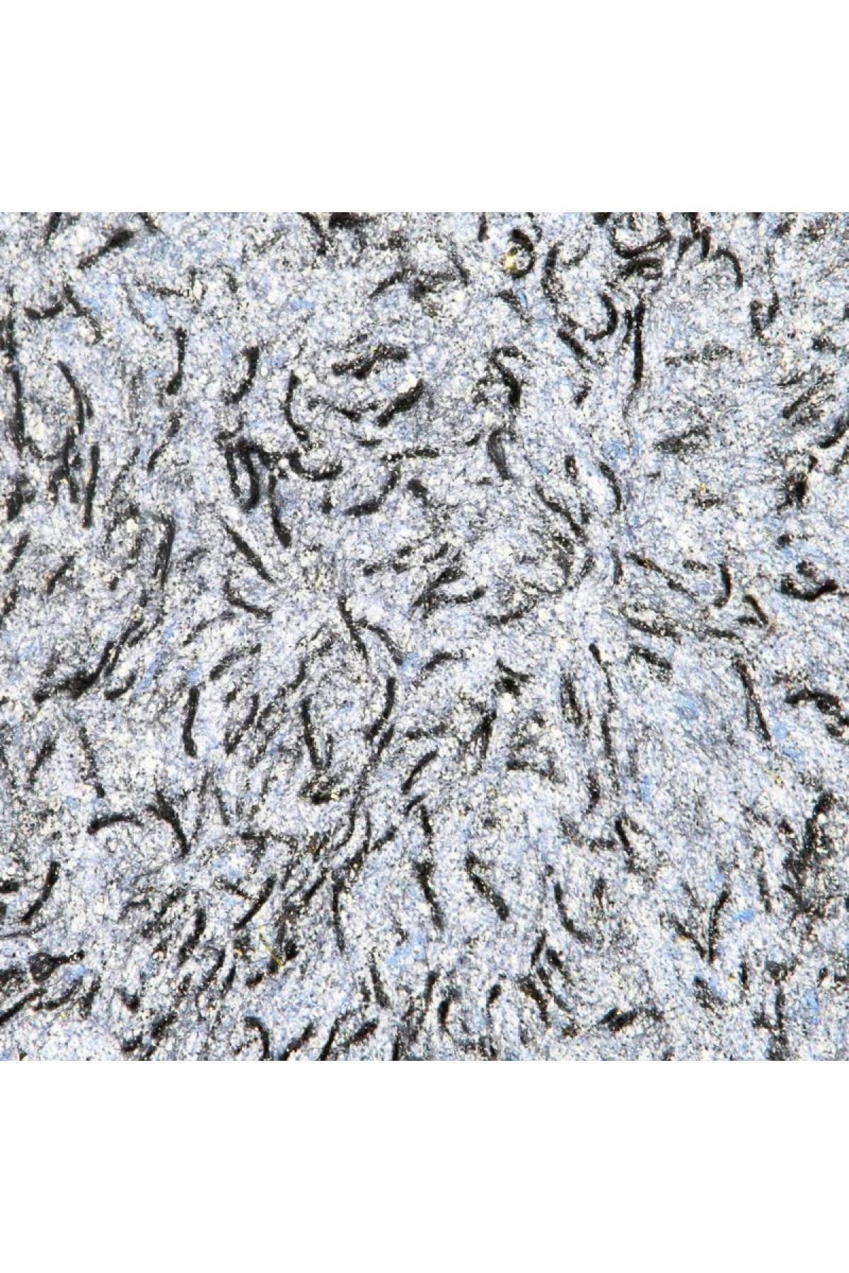 RXTM Yeni Nesil Canlı Sıva