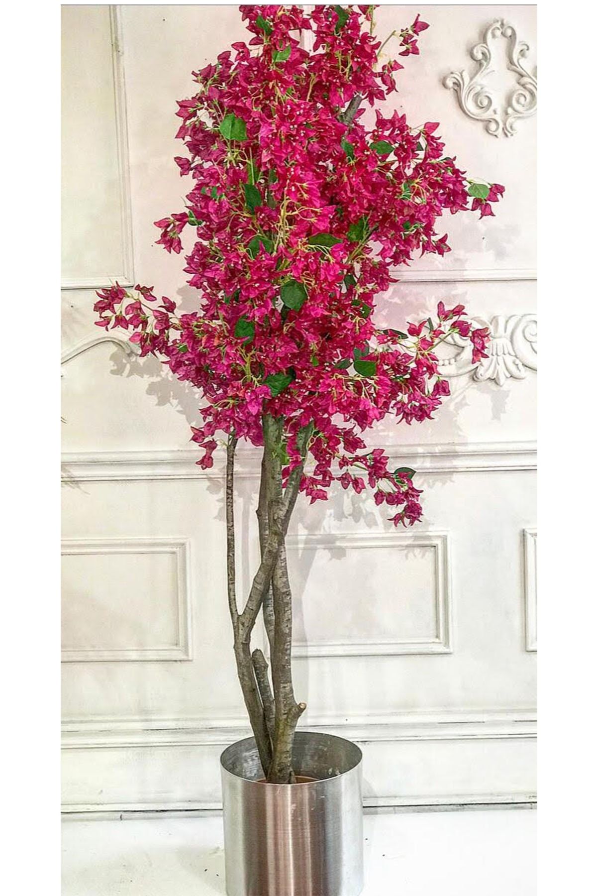 GELİN BUKET Pembe Begonvil Ağacı