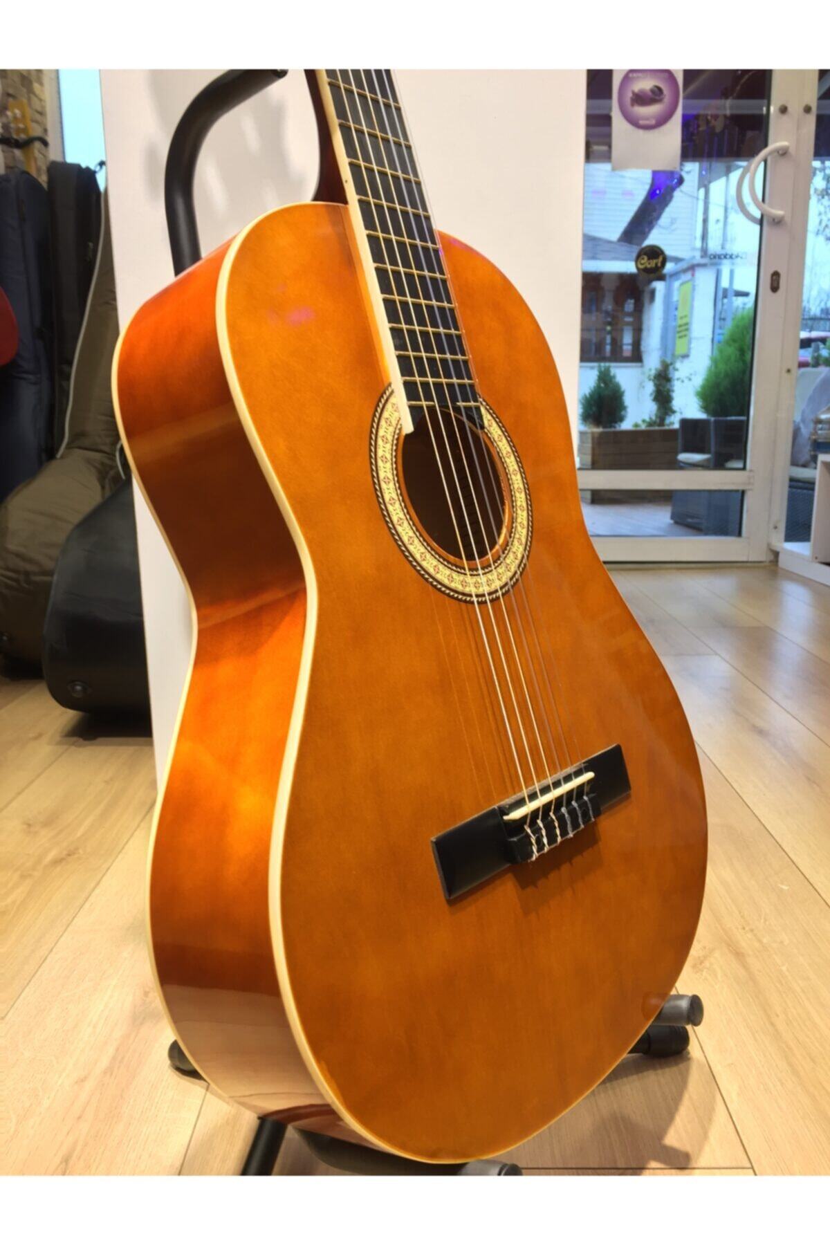 Gitar Klasik Gitar Masterwork Kılıf-Pena MWC3900