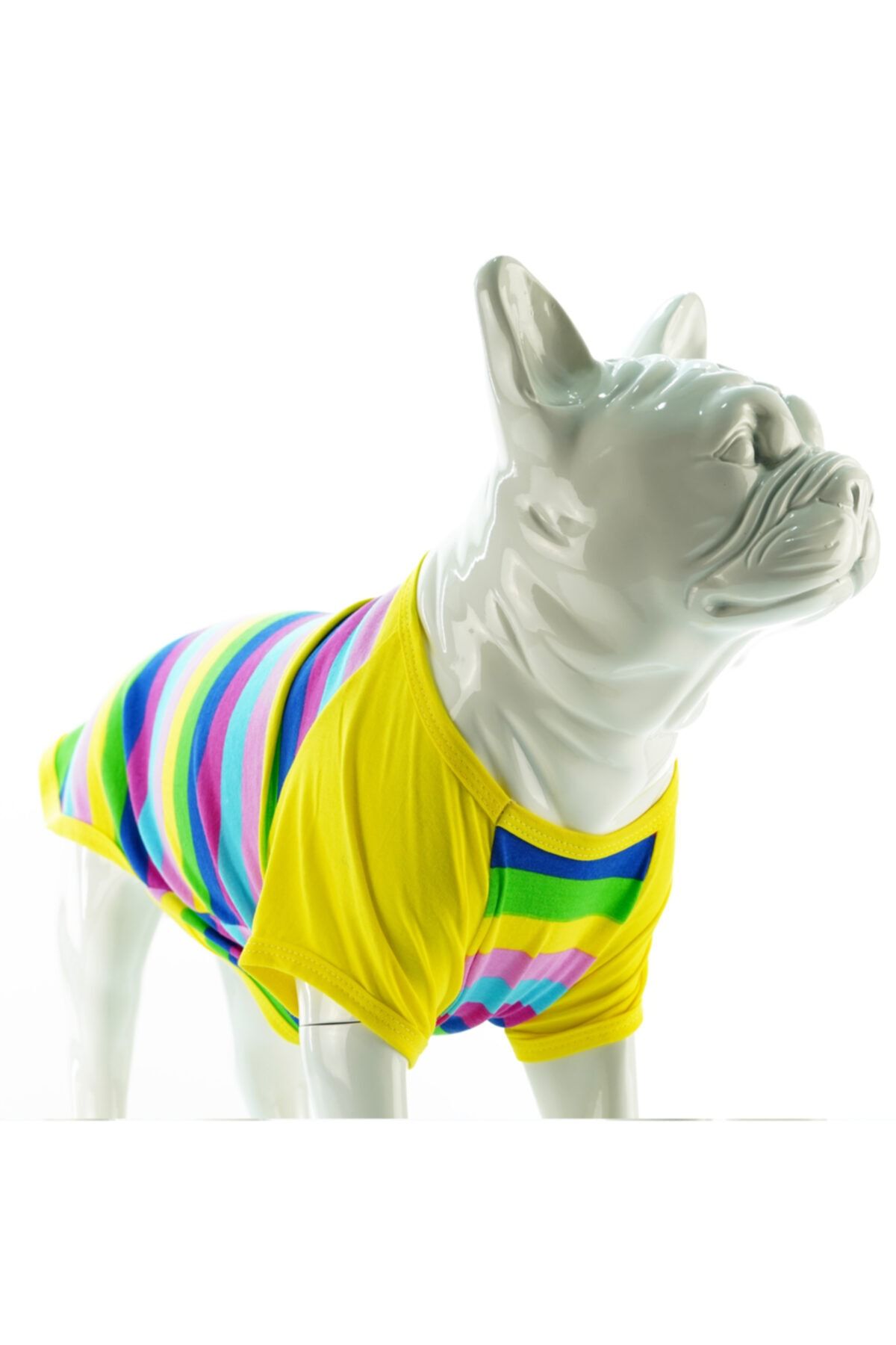 Lindodogs Color Box Küçük Orta Ve Büyük Irk Köpek Tshirt