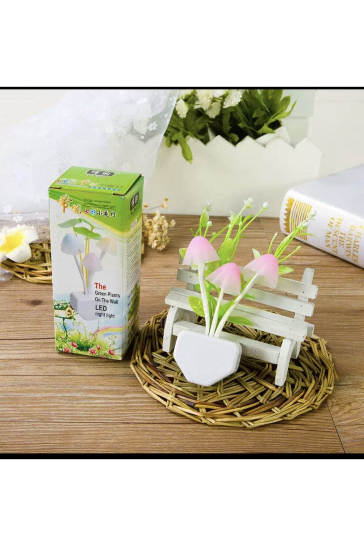 agora home Gece Lambası Renkli