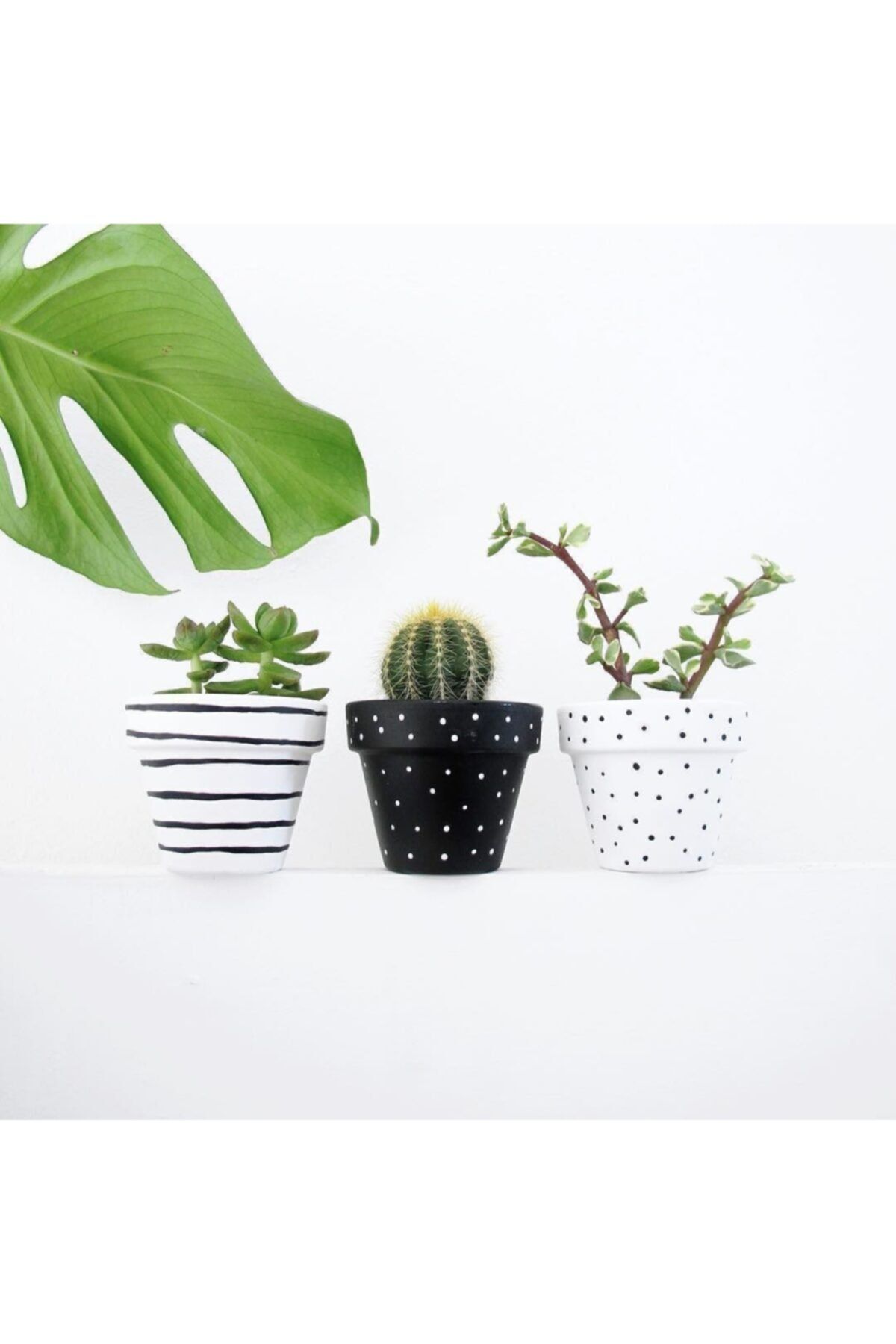 RoberTasarım 12x12 Cm Toprak Saksı Çömlek Sukulent Kaktüs Saksısı El Yapımı 3'lü Bkks