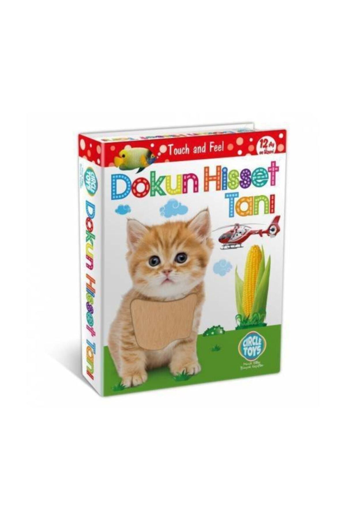 Circle Toys Çocuk Dokun Hisset Zeka Kartları