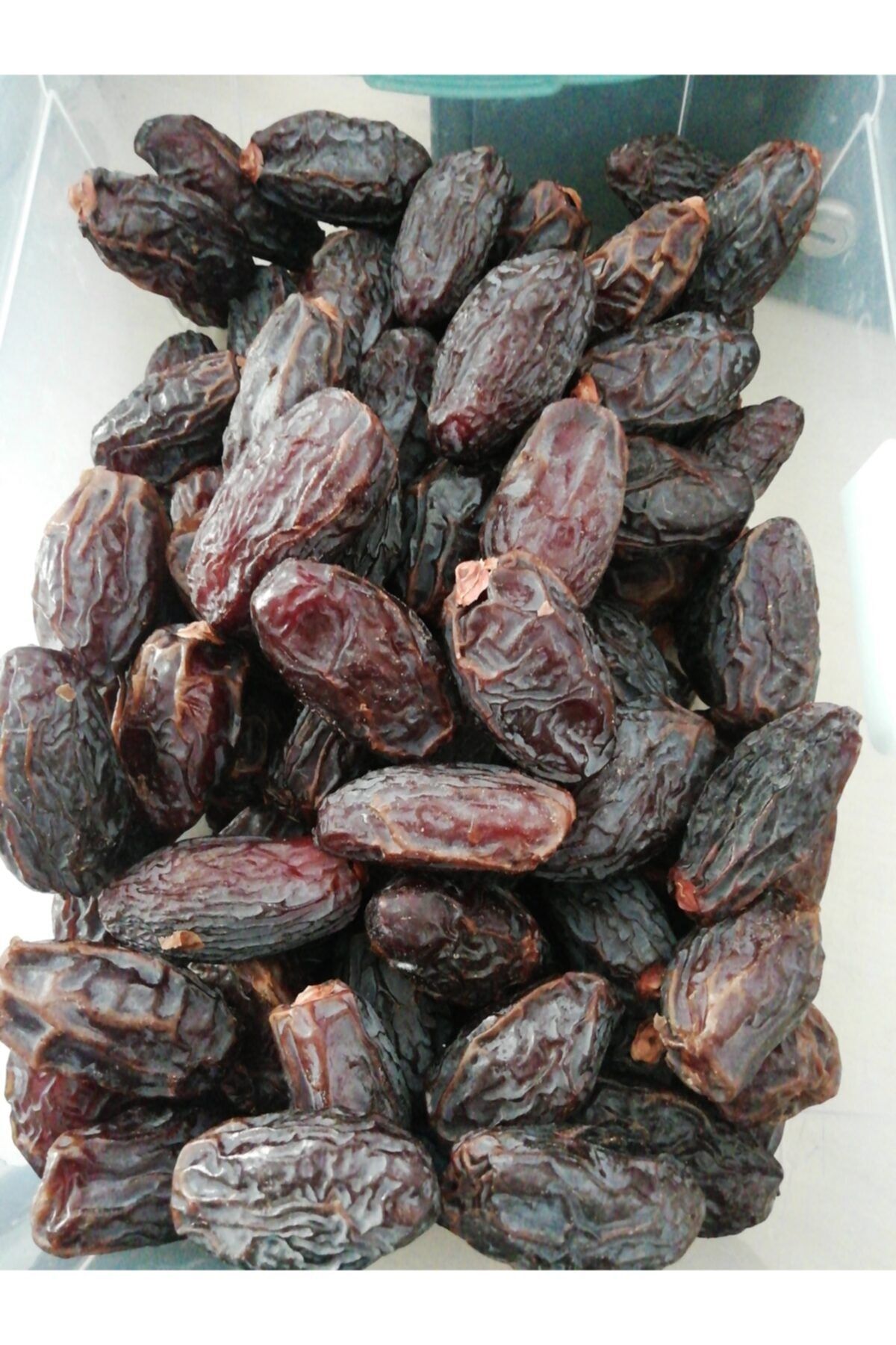 Osmanlı Bahçesi Kudüs Hurma