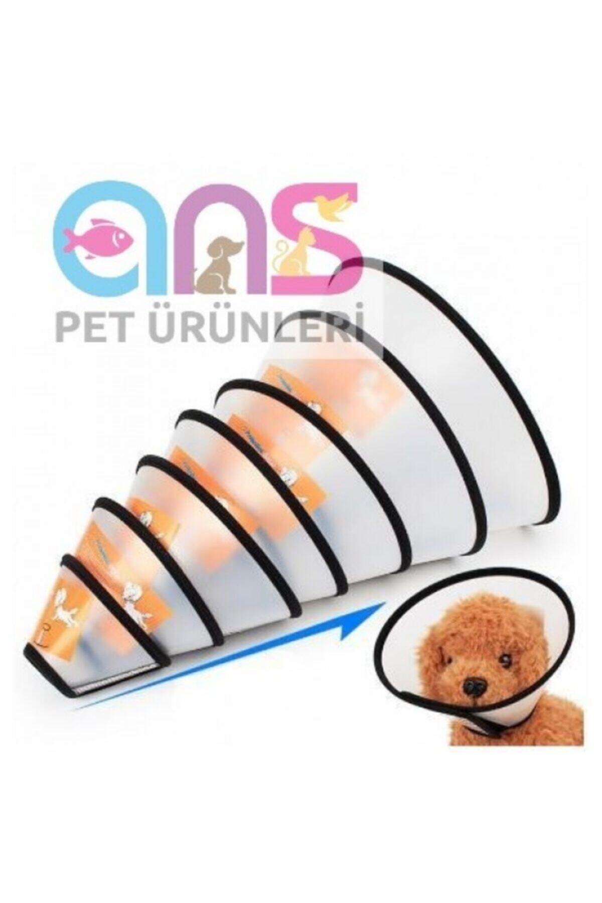PETAMİN Kediler Ve Köpekler Için Elizabet Yakalık +2 Numara