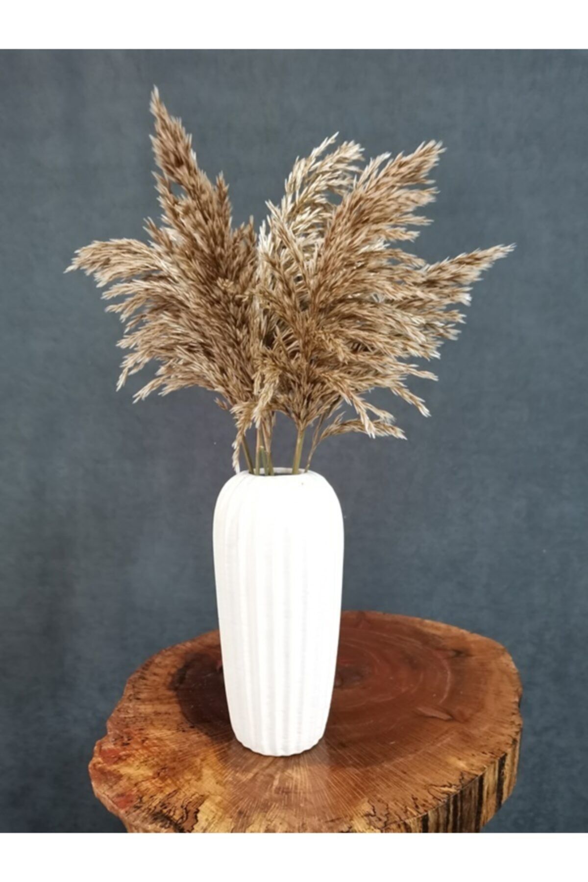 Decolass Kuru Çiçek Şoklanmış 10'lu Pampas Otu Natural 60 cm
