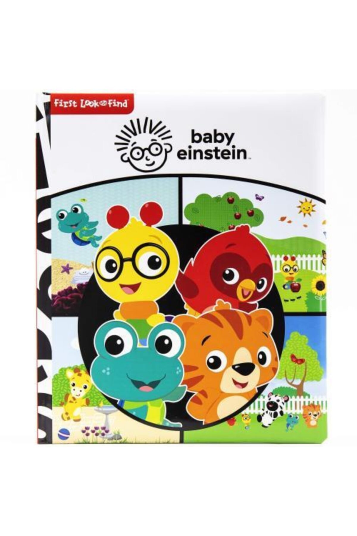 Phoenix Yayınevi Pıp Baby Einstein
