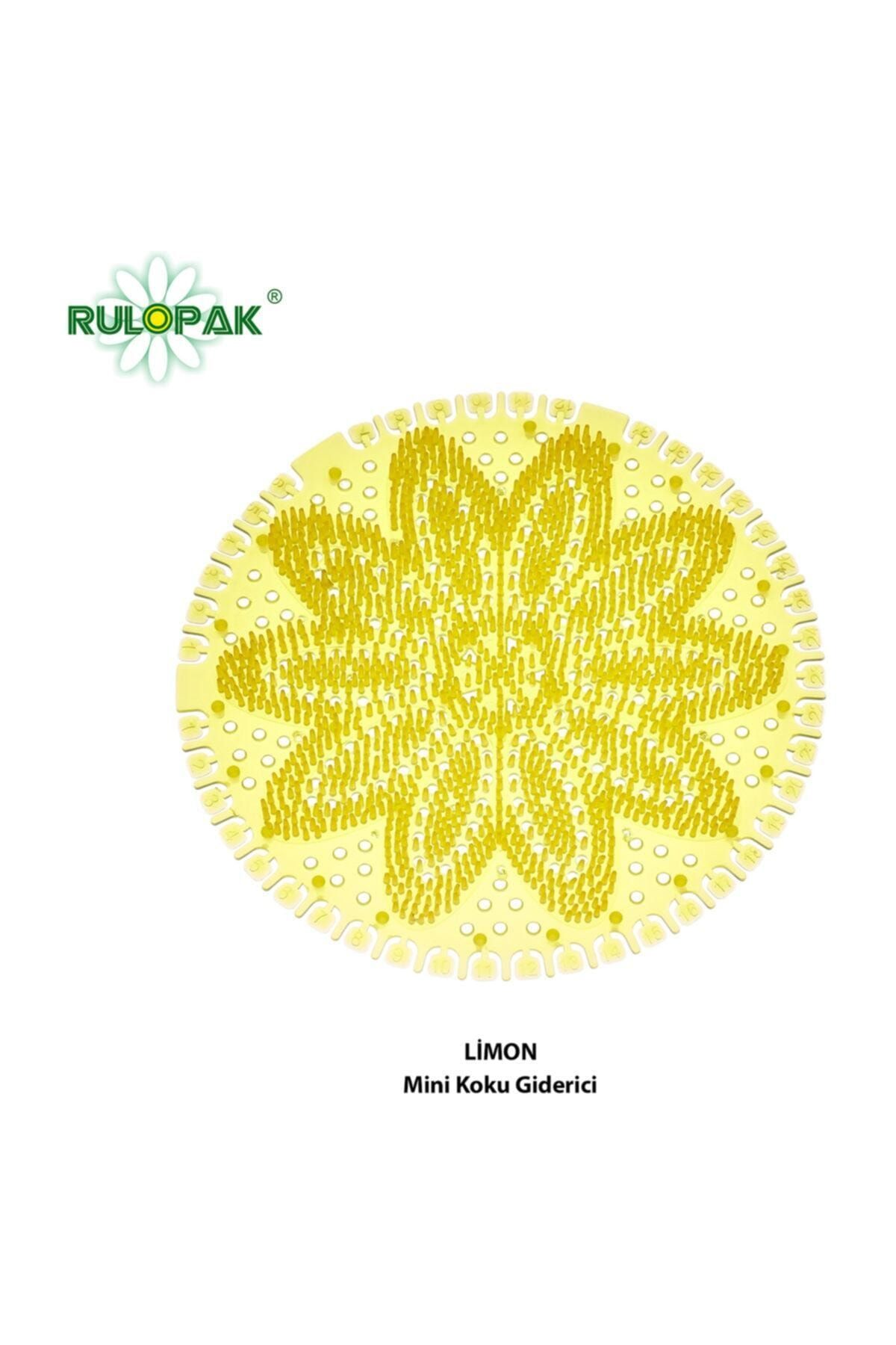 Rulopak Mini Lavabo- Pisuvar Süzgeci Koku Giderici 10 Adet Limon