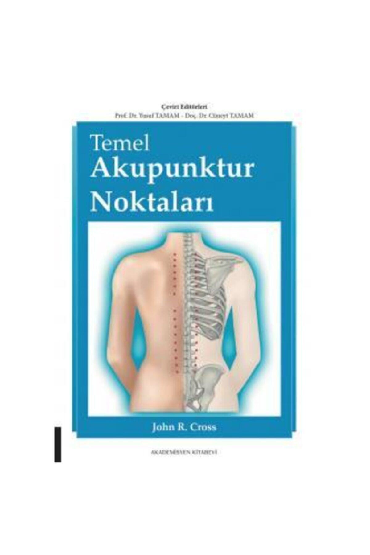 Akademisyen Kitabevi Temel Akupuntur Noktaları