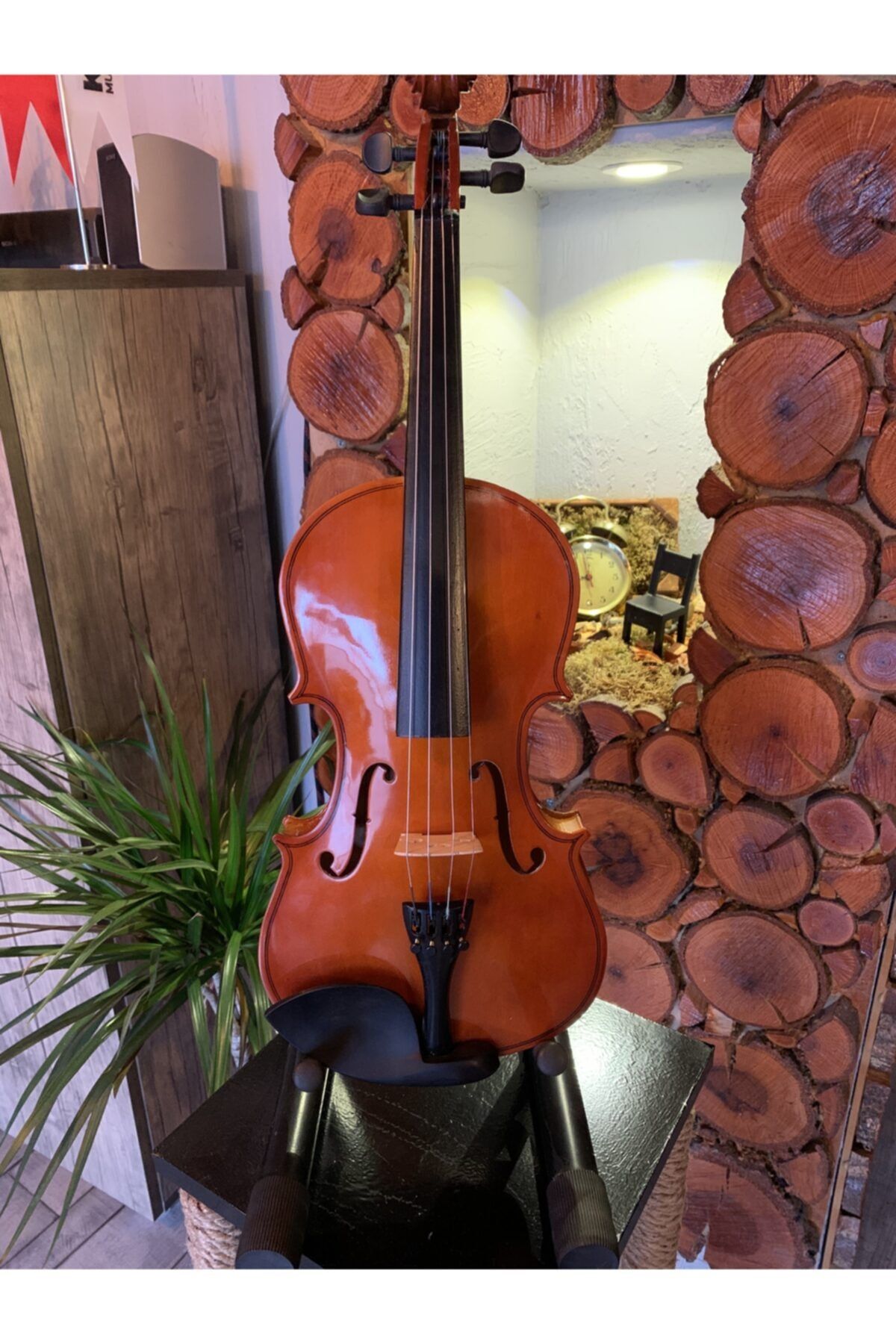 Era Sanat Akademi Struga Öğrenci Keman