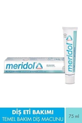 Diş Eti Problemleri için Diş Macunu Gum Health 75 ml Image 0
