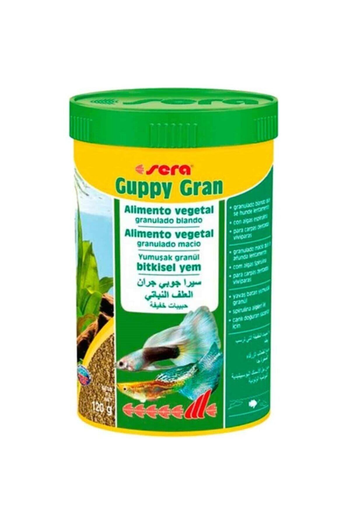SERA Guppy Gran Granül Balık Yemi 250 Ml
