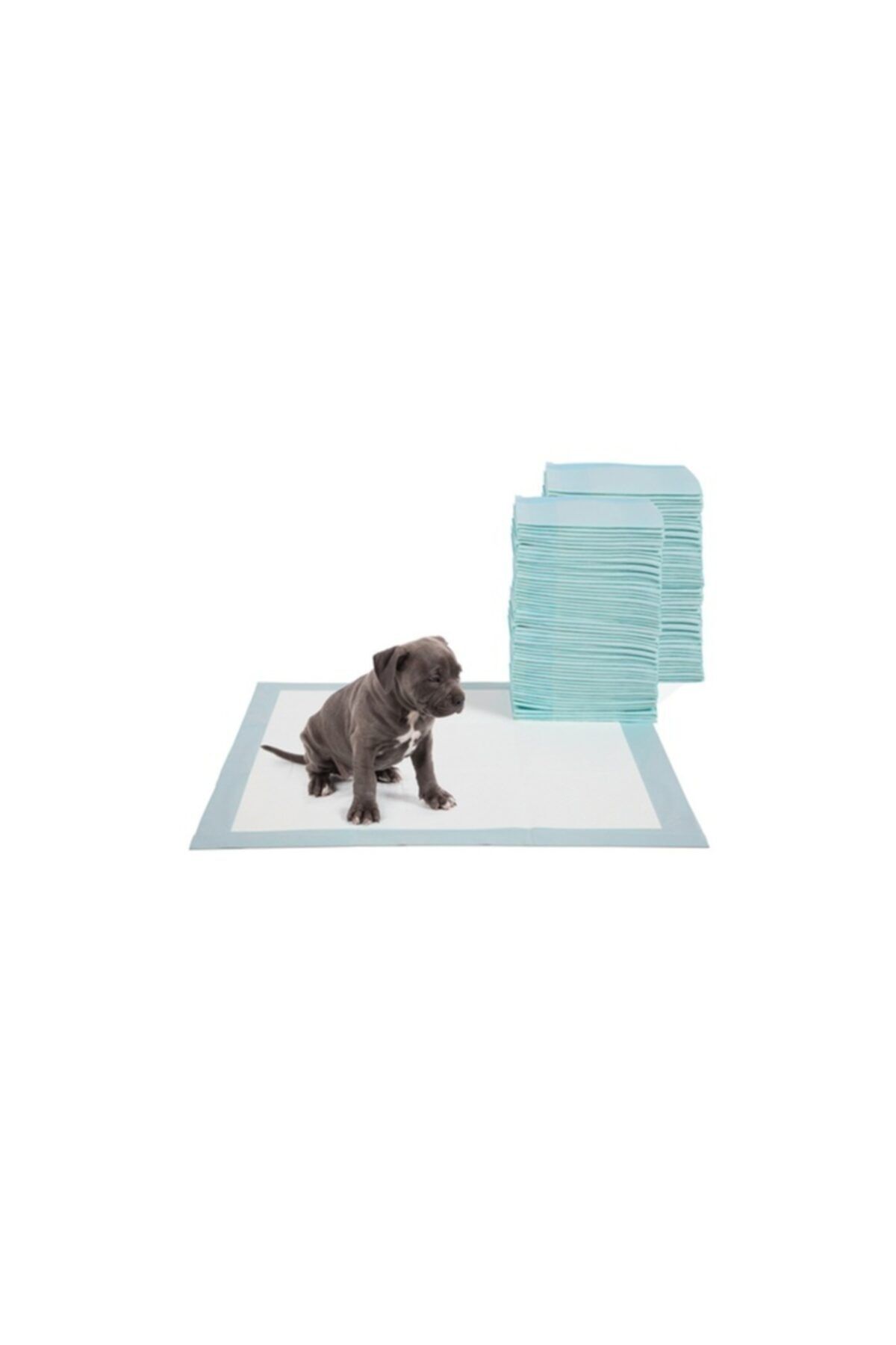 Pedi Paws Köpek Çiş Alıştırma Pedi. 30 Adet.