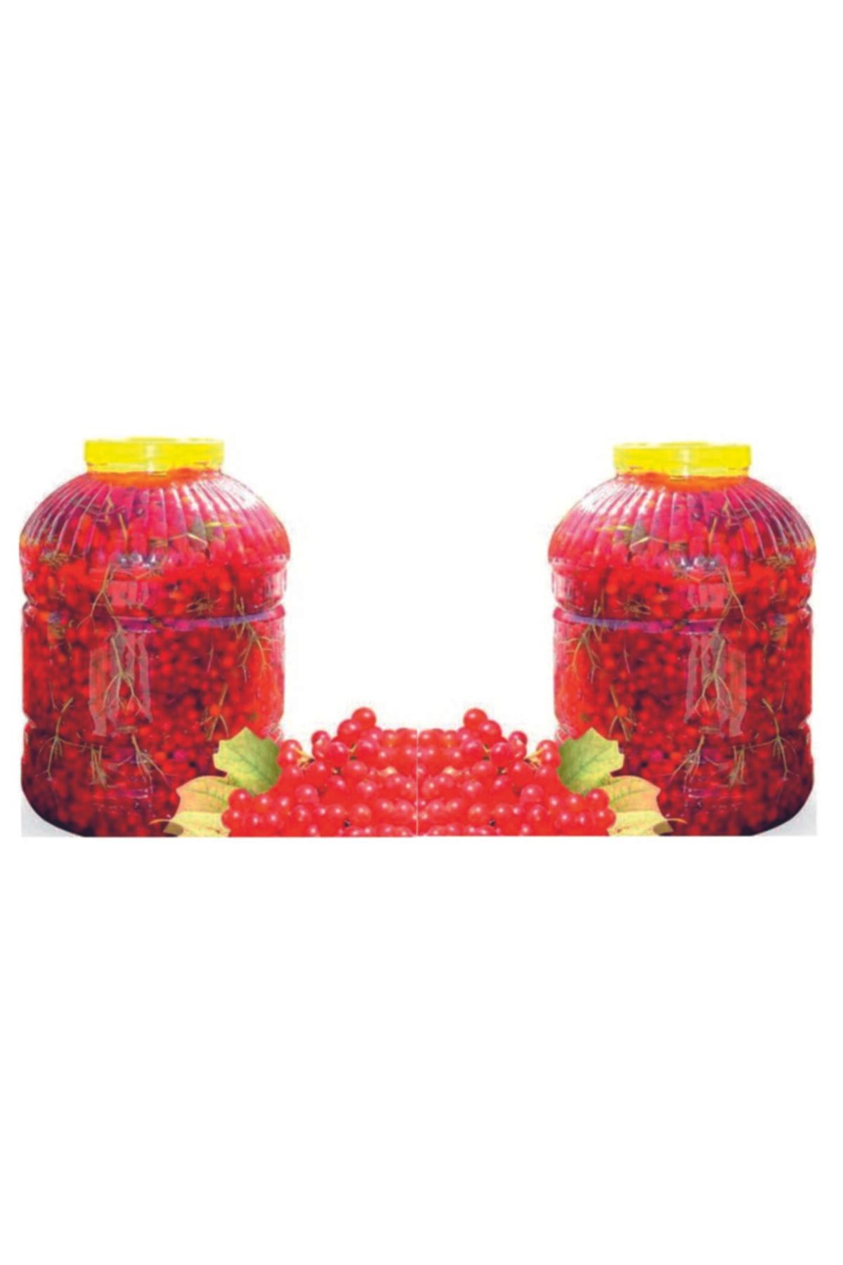 Gilaburu Meyvesi 2 X 5 l