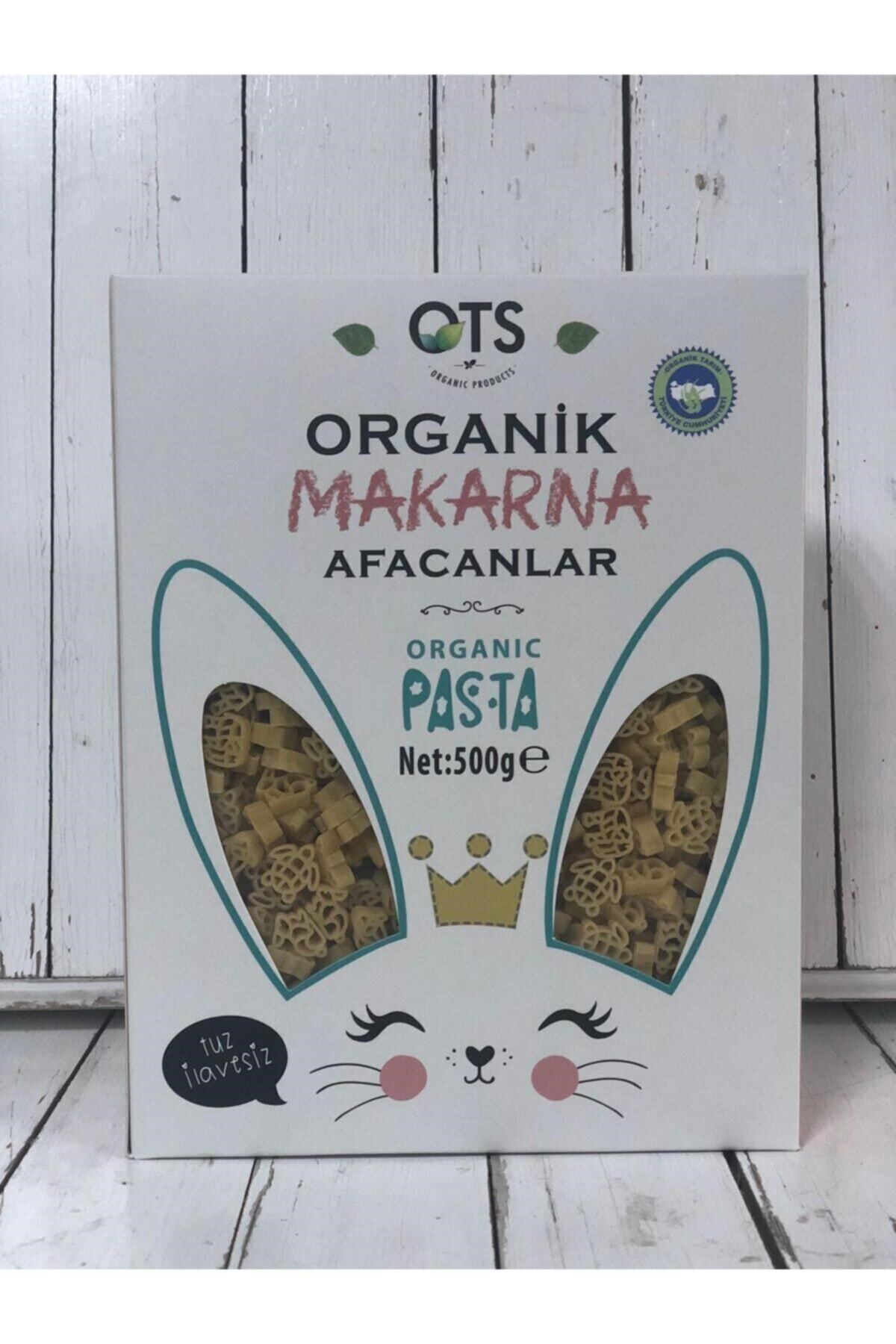 OTS Organik Makarna Afacanlar 500g