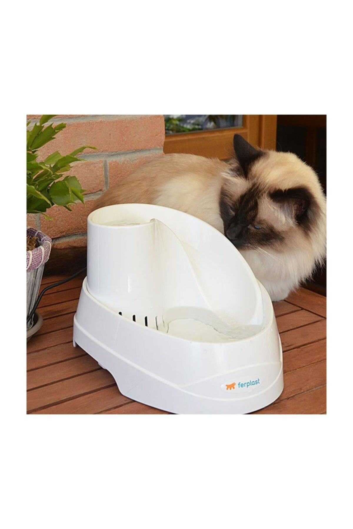 Ferplast Vega Selale Otomatik Kedi Kopek Su Kabi 2 Lt Fiyati Yorumlari Trendyol