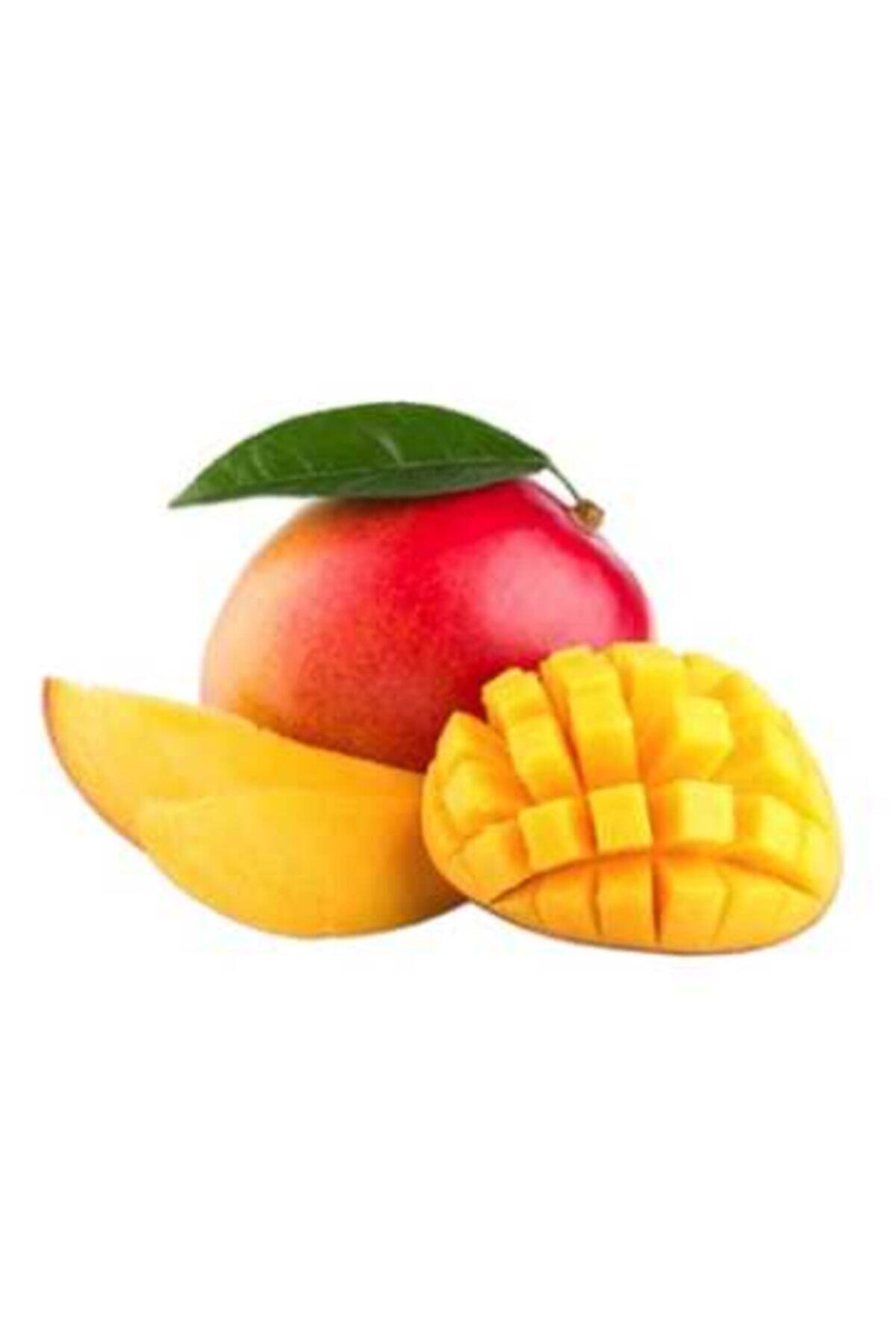 Hasbahce Dalından Mango 1 Adet