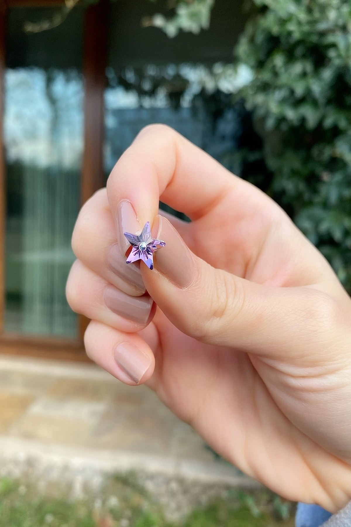 RichBird Swarovski Taşlı Tanzanite Yıldız Küpe