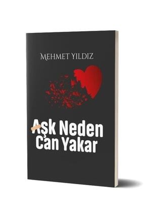 Aşk Neden Can Yakar Mehmet Yıldız Image 0