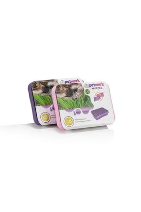 Kedi Cimi Ve Catnip Fiyatlari Trendyol