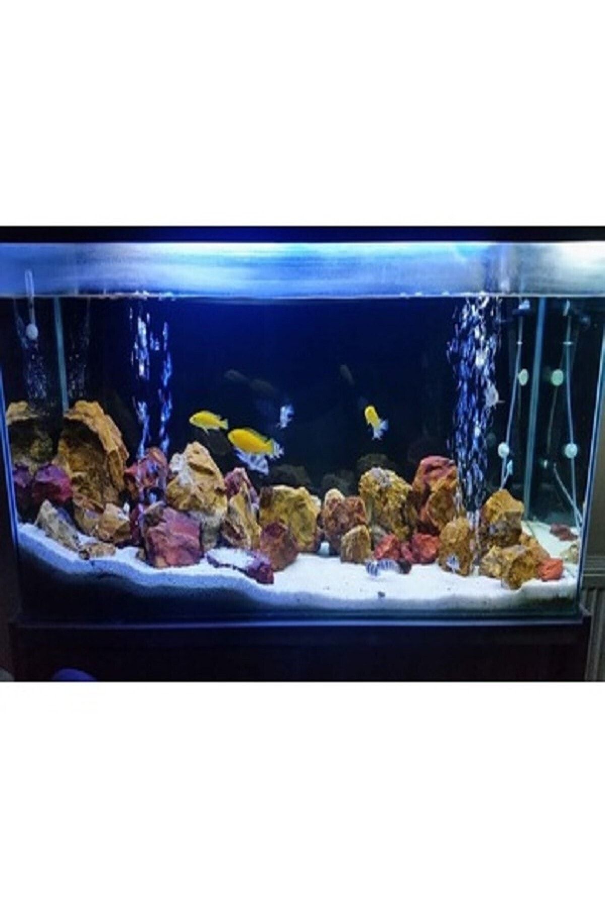 Aqualed Led Aydınlatma Armatür Mavi & Beyaz 80 Cm