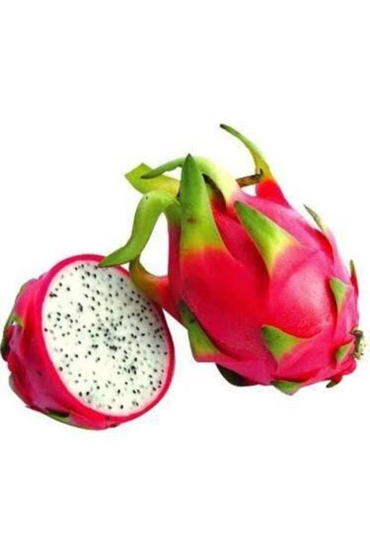 PİTAYA Ejder Meyvesi Dragon Fruit 1 Adet Içi Beyaz