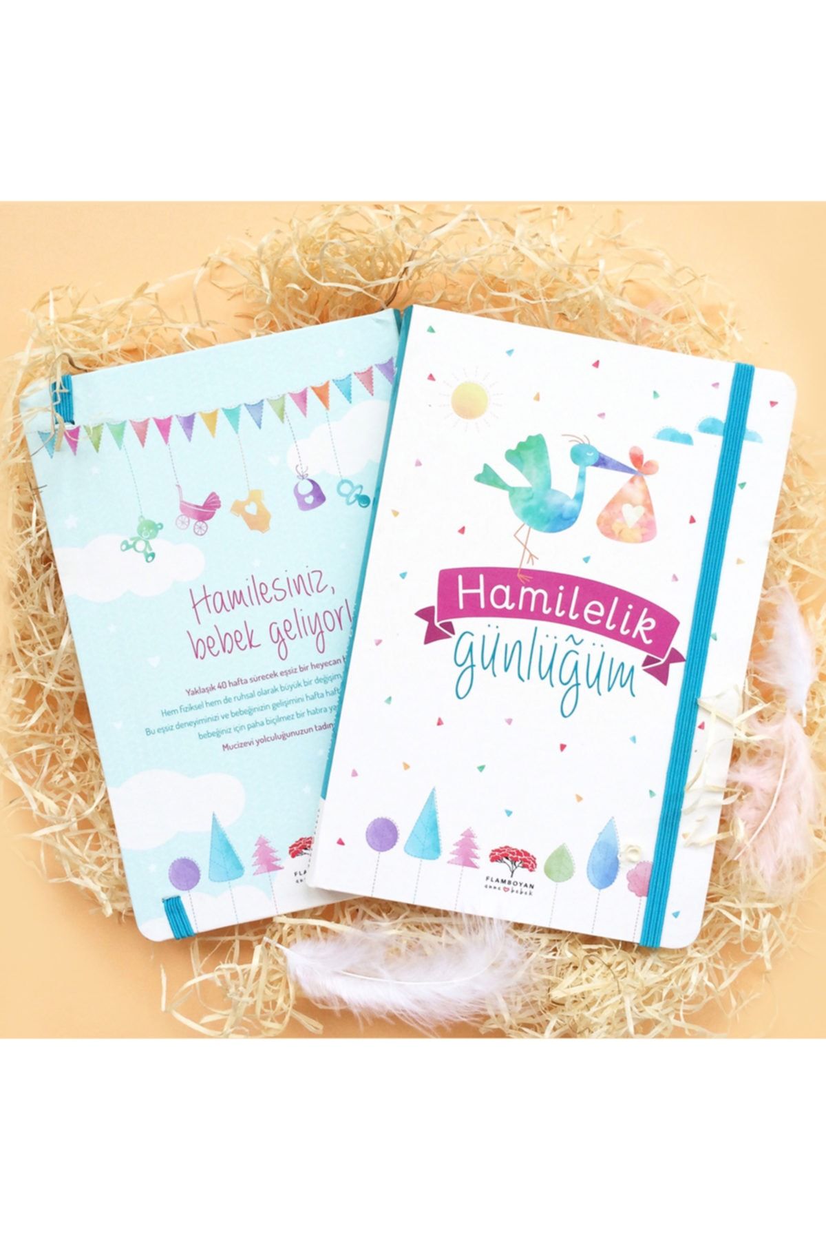Flamboyan Yayınları Hamilelik Günlüğüm - Evrim Gürel Süveydan