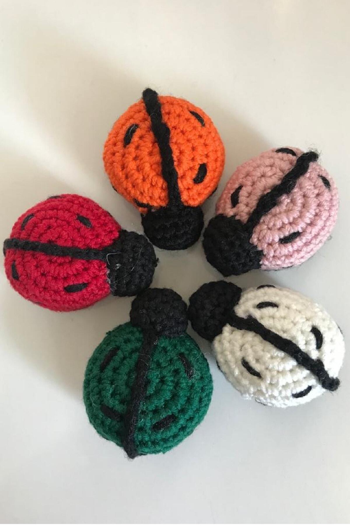 Özlü 5 Adet Farklı Renk Amigurumi Minik Uğur Böceği Magnet