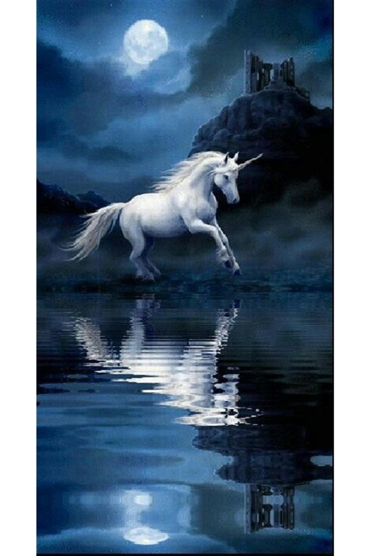 MARCEL SANAT Dolunay Gecesinde Suya Atlayan Beyaz Unicorn At Elmas Mozaik Tablo 33x60cm