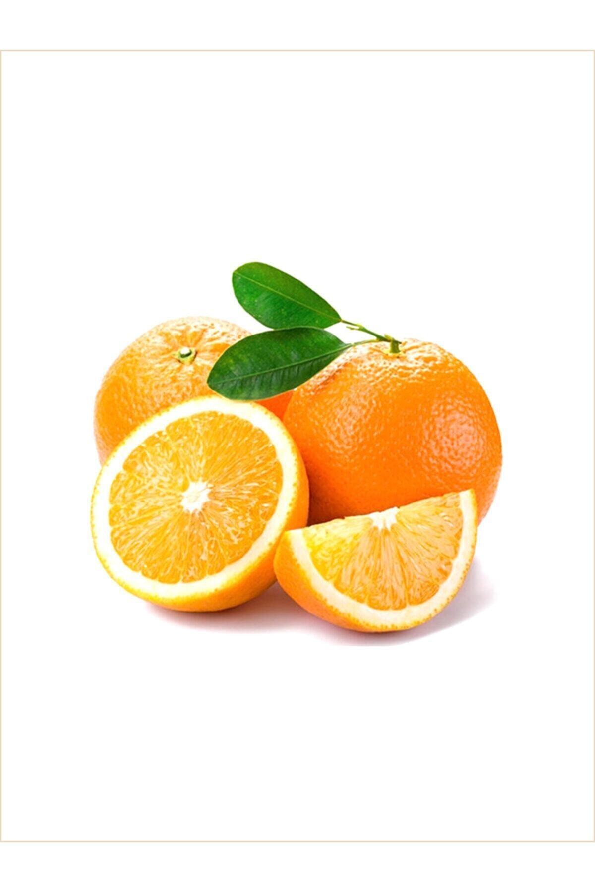 VİTAMİNLİ MEYVELER Portakal 1 Kg