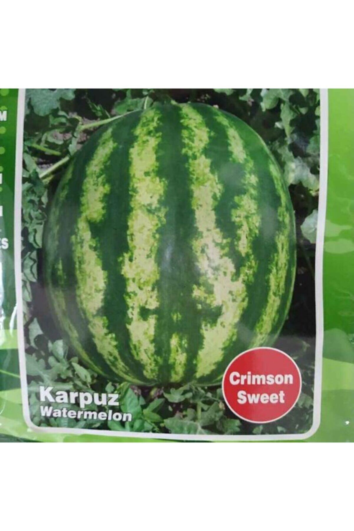 balikesir karpuz fiyati yorumlari trendyol