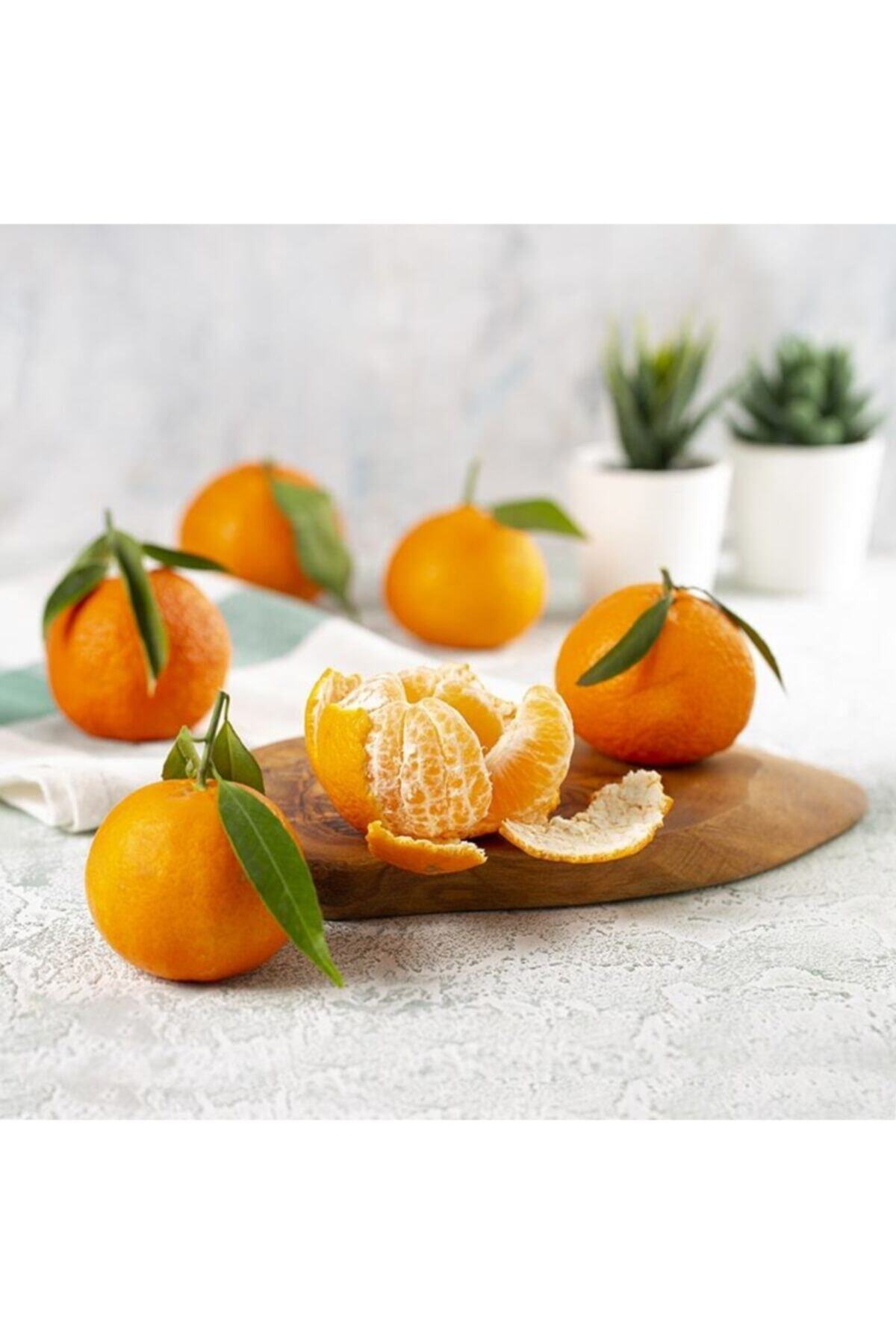 Yeşil Limon Mevsim Mandalina -3kg
