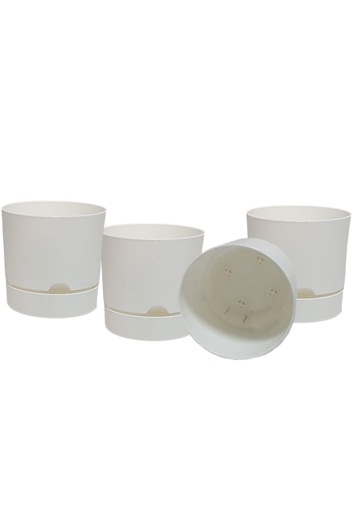 Poliwork Avantajlı Set 4 Adet Begonya 15 Cm Tabaklı Saksı Beyaz 1,8 Lt