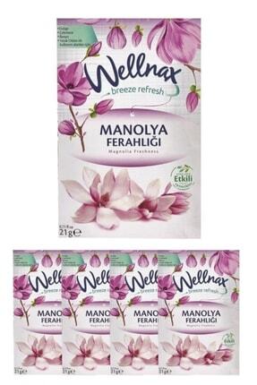 Dolap Ve Çekmece Kokusu Manolya Ferahlığı Kesesi X5 Image 0