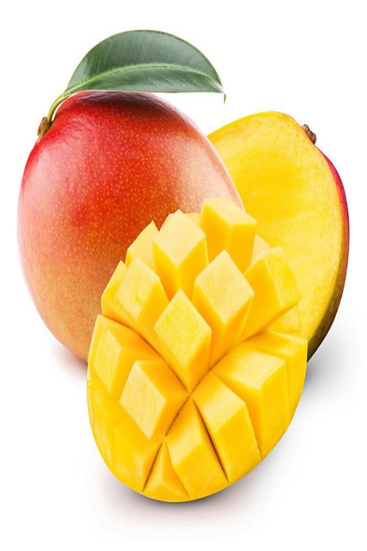 evvebahce tuplu asili nadir bulunan mango fidani fiyati yorumlari trendyol