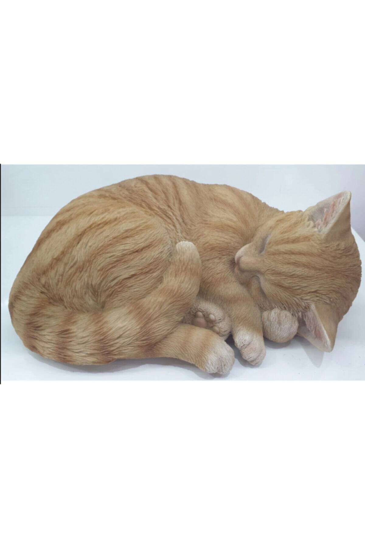 Luyano Uyuyan Kedi Biblo