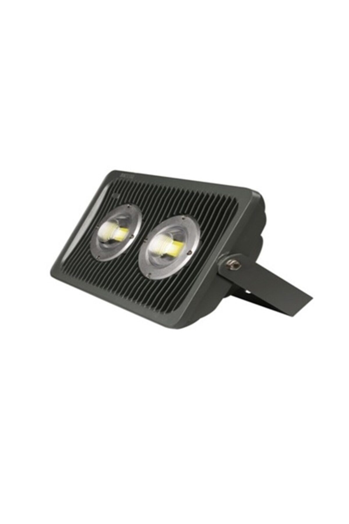 Alpex 100 Watt 220 Volt Led Projektör