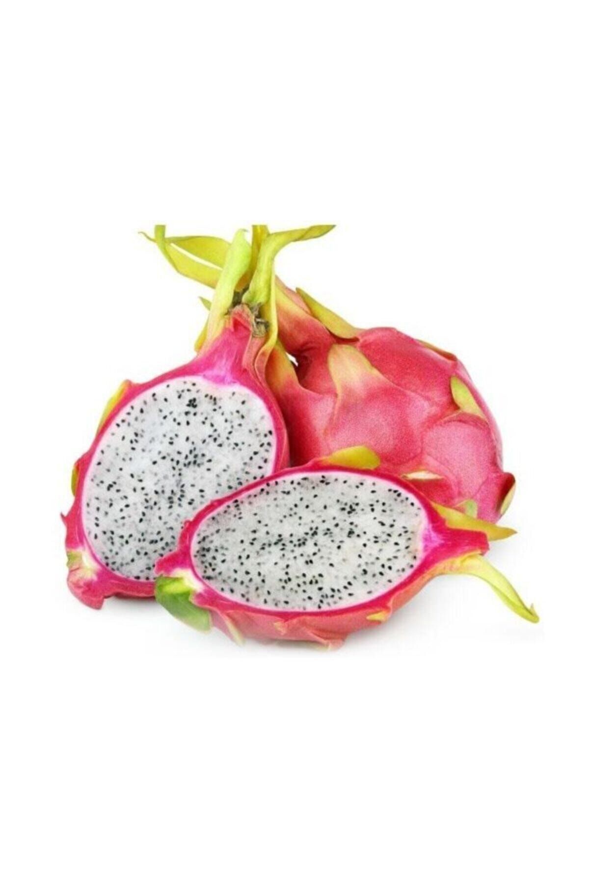 Tohum Dünyam Pitaya Ejder Meyvesi Tohumu 10 Adet Tohum